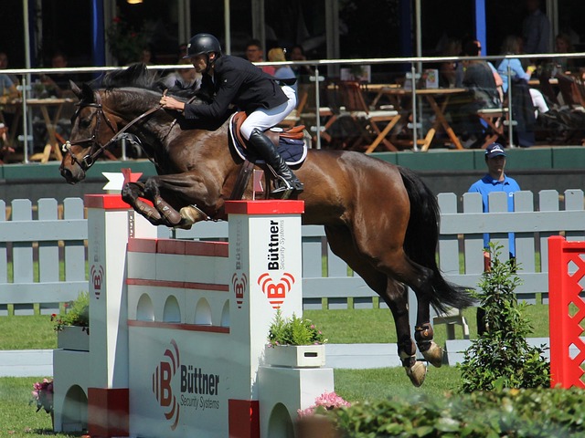 库里的出现 库里的出现